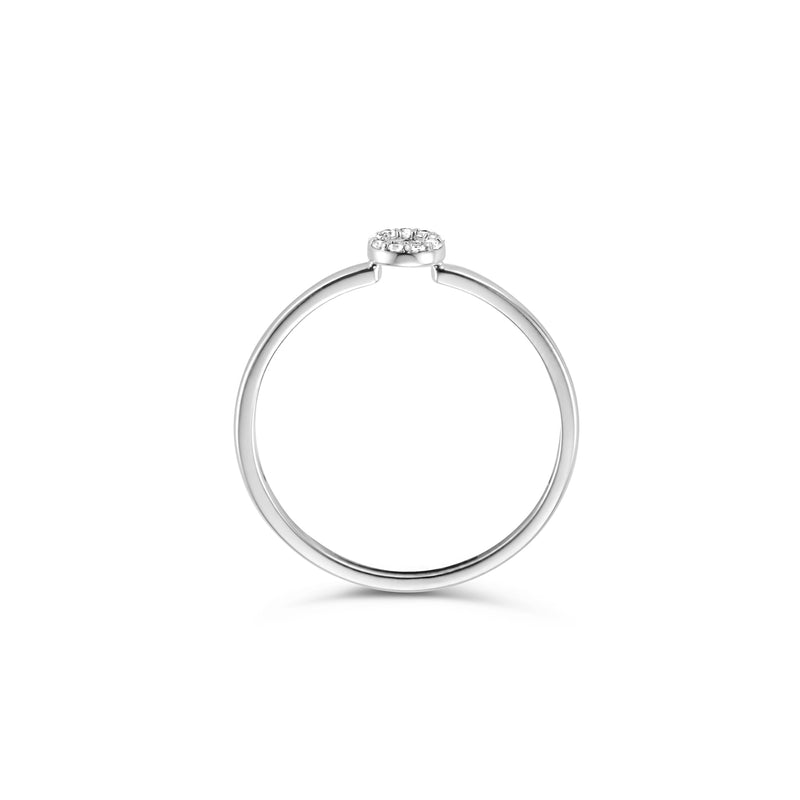 Blush 14 Carat Whitegold Ring 1217WZI/48-zoom-