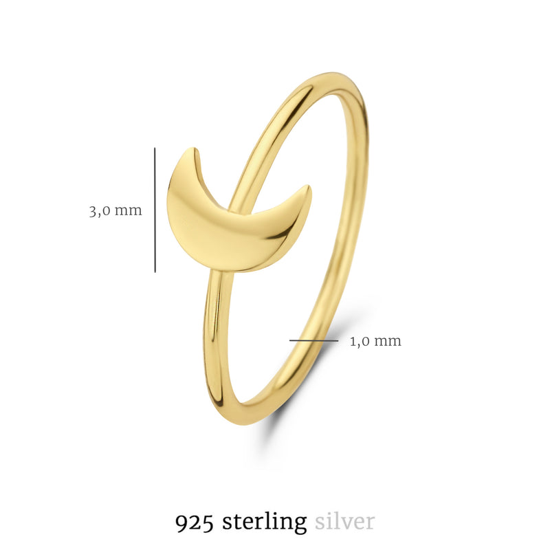 Selected Jewels Julie Louna 925 Sterling Zilveren Goudkleurige Ring SJ300017-58-zoom-