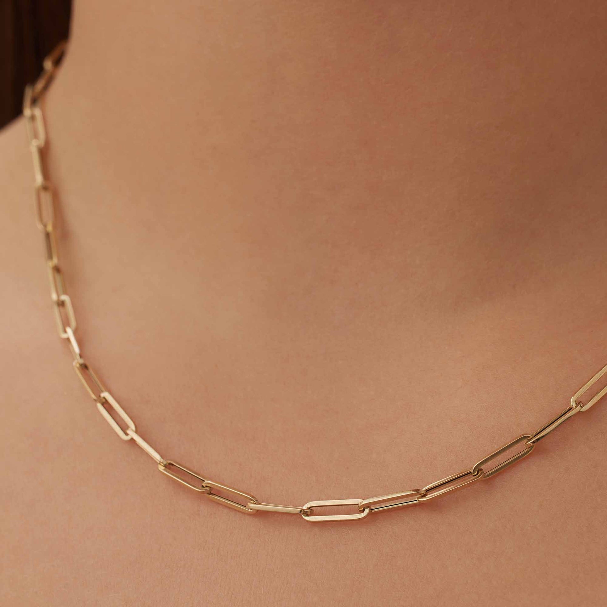 Isabel Bernard Aidee Odile 14 Carat Golden Schakel Necklace IB340160