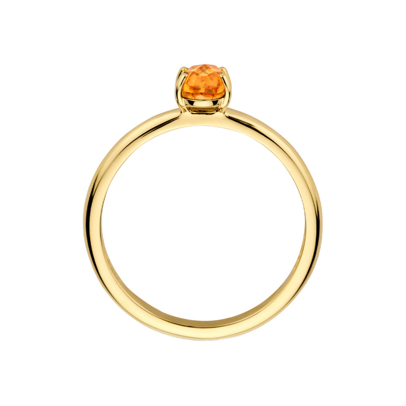 Blush 14 Carat Gold Ring 1242YCI/58-zoom-