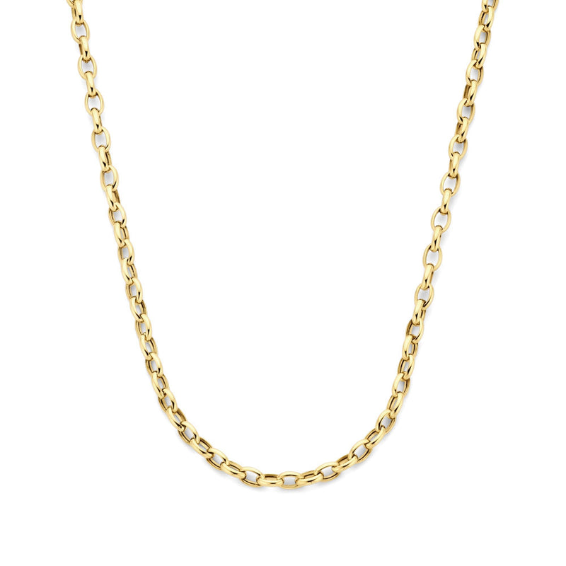 Isabel Bernard Aidee Camille 14 Carat Golden Schakel Necklace IB340159-zoom-