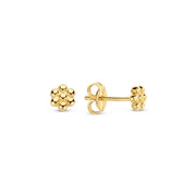 Jackie Gold 14 karat gold Ear Stud JKE23.307