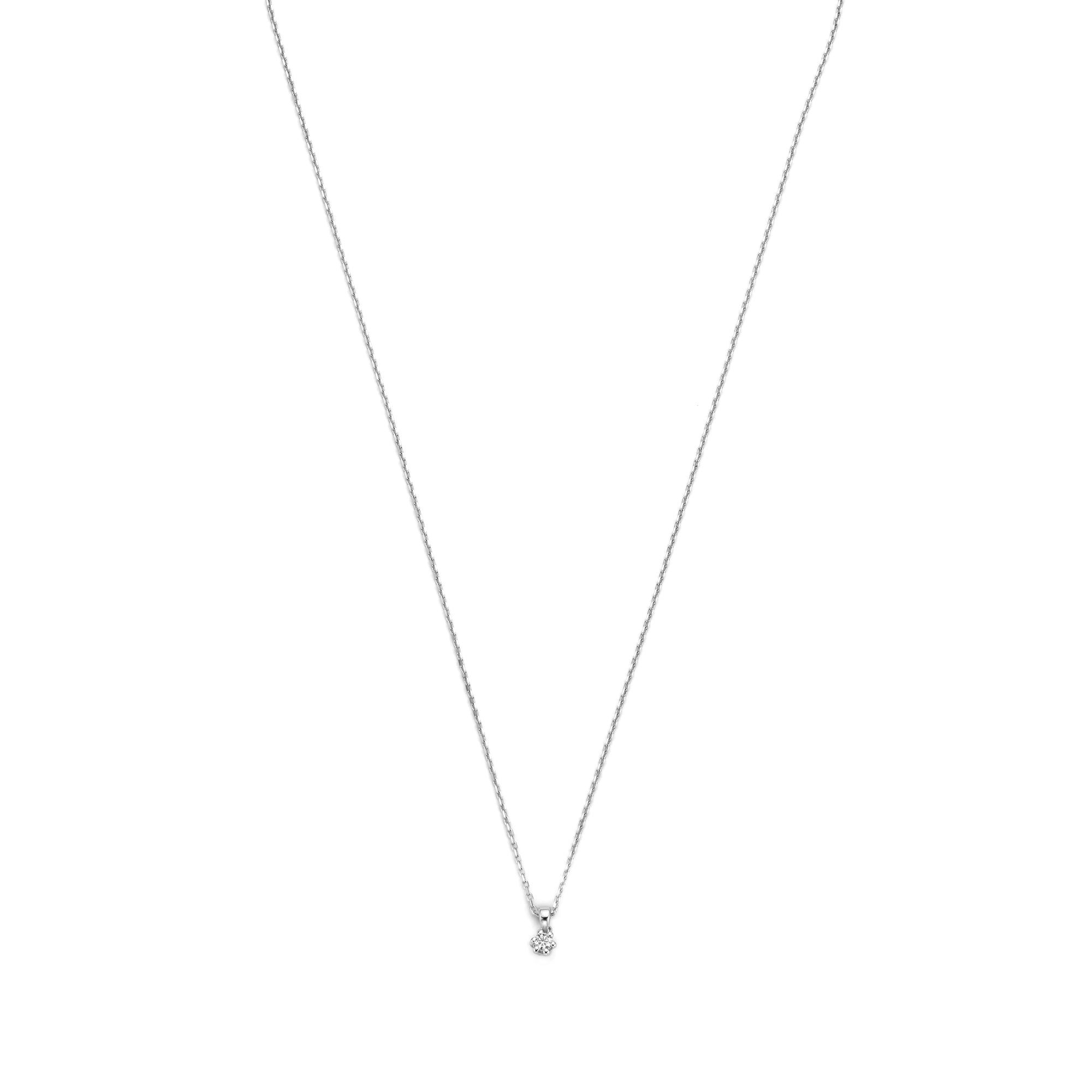 Isabel Bernard De la Paix Emily 14 Carat Whitegold Necklace | diamond 0.05 ct | IBD350014