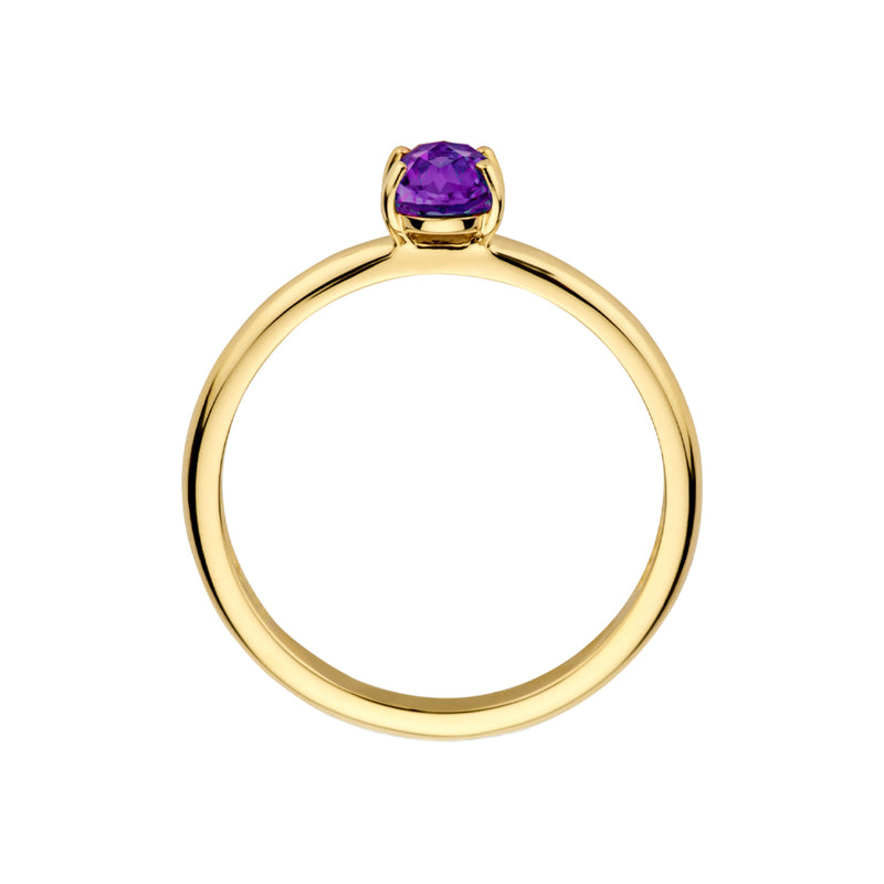 Blush 14 Carat Gold Ring 1242YAM/58-zoom-