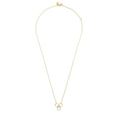 Isabel Bernard 14 Carat Golden Belleville Anna Necklace IB340047 (Length 40.00-45.00 cm)