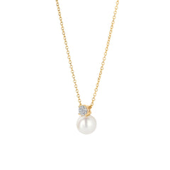 Blush 14 karat gold Necklace 3163YPW