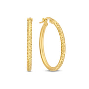 Isabel Bernard Rivoli Laura 14 Carat Golden Hoop Earrings IB360161
