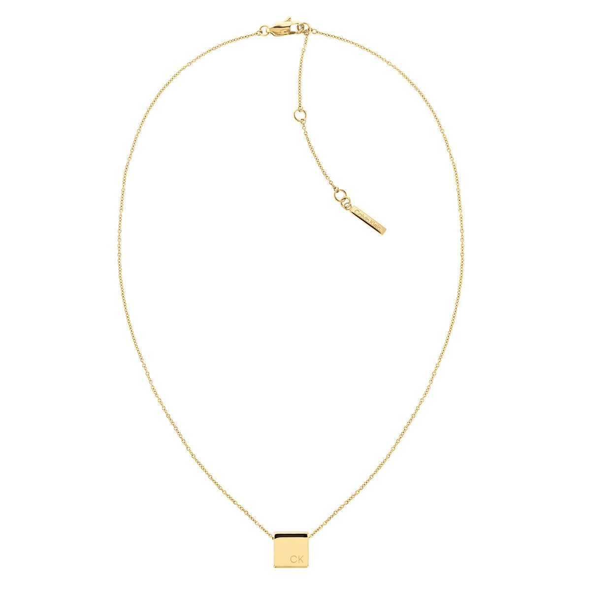 Calvin Klein Stainless Steel Necklace 2002-CJ35000248