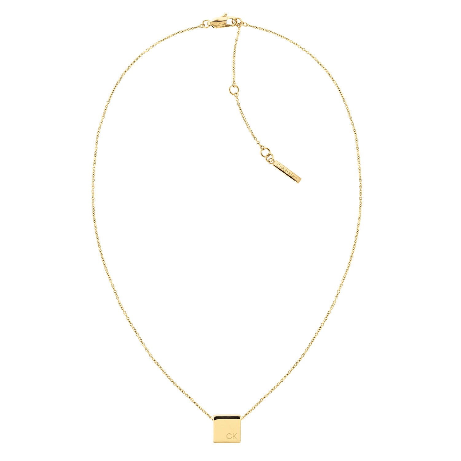 Calvin Klein Stainless Steel Necklace 2002-CJ35000248