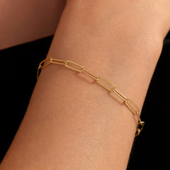 Parte Di Me Bibbiena Poppi Felice 925 Sterling Silver Gold Plated Chain bracelet PDM32117