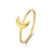 Selected Jewels Julie Louna 925 Sterling Zilveren Goudkleurige Ring SJ300017-58