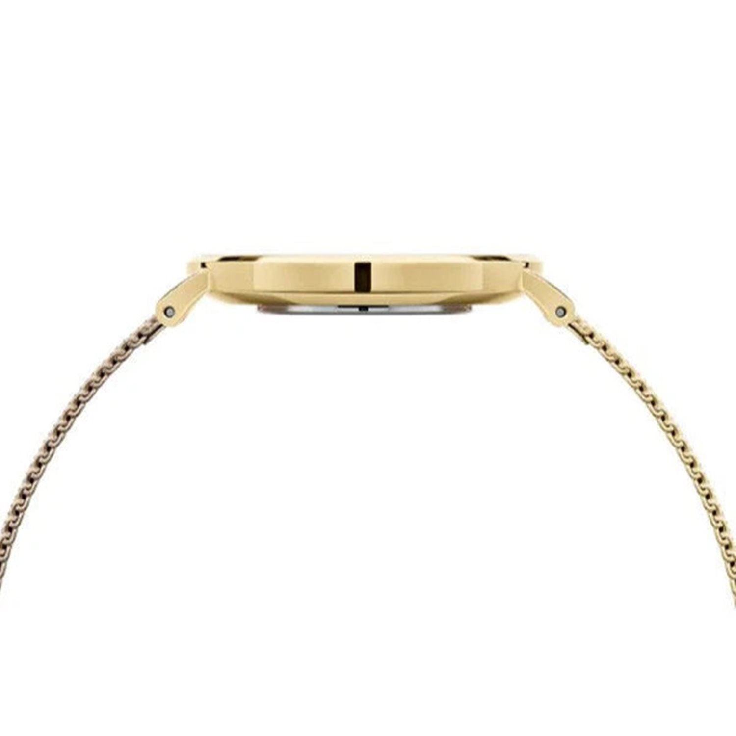 Daniel Wellington Capite Women's Watch DW00100481