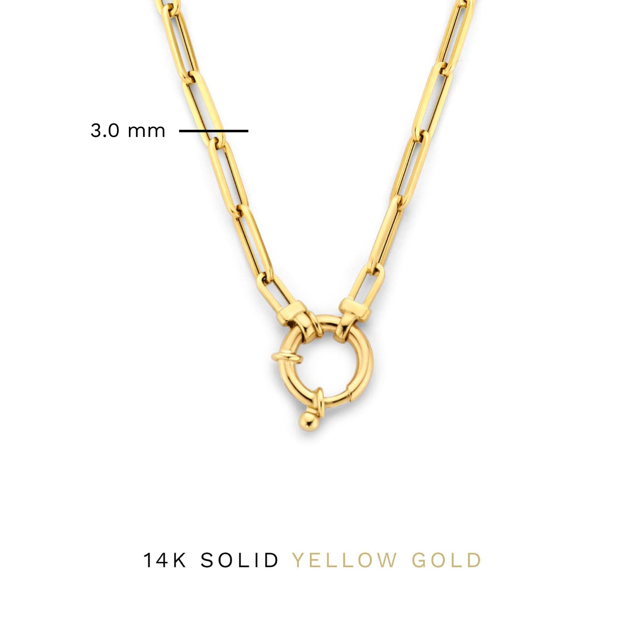 Isabel Bernard Aidee Odile 14 Carat Golden Schakel Necklace IB340160