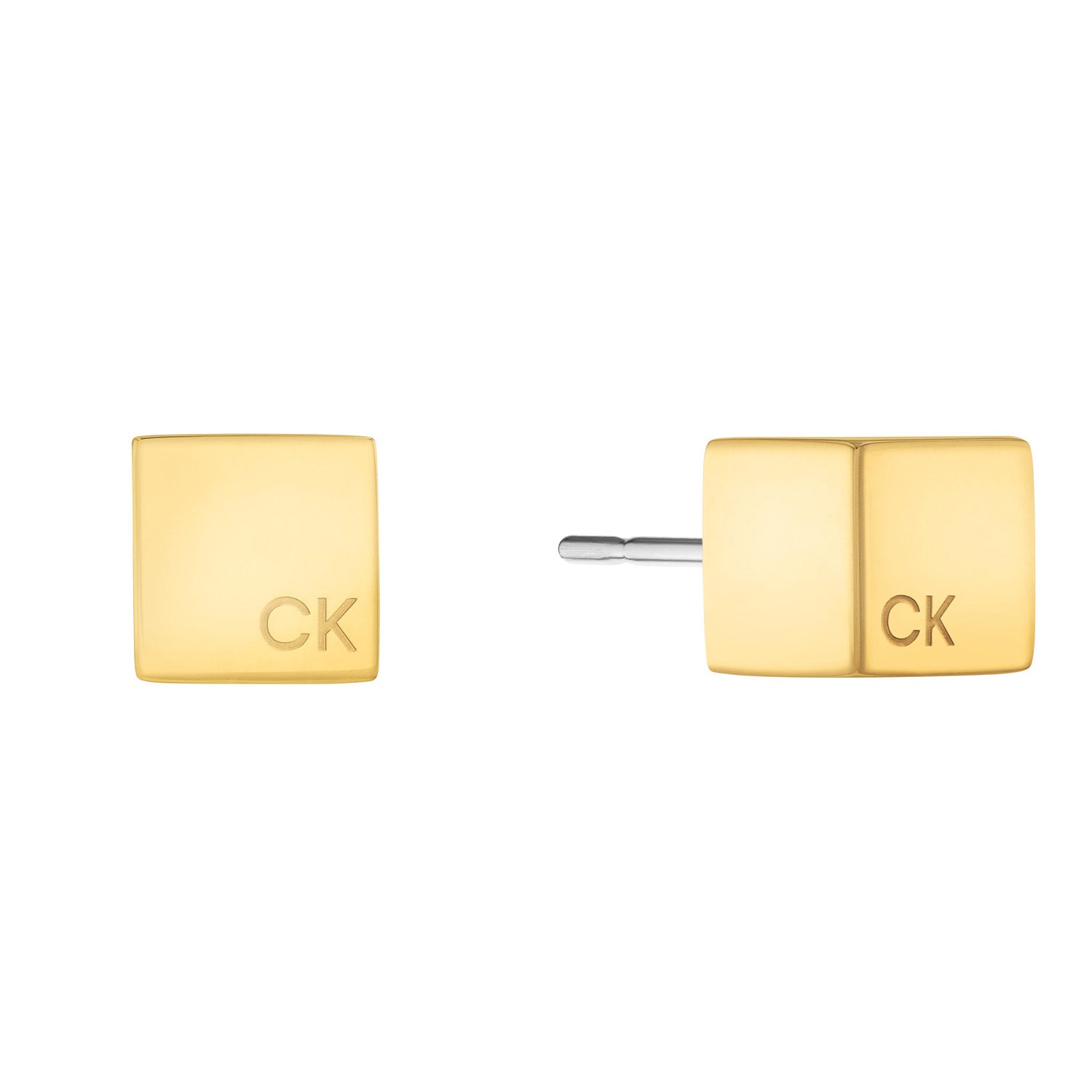 Calvin Klein Stainless Steel Earrings 2002-CJ35000246