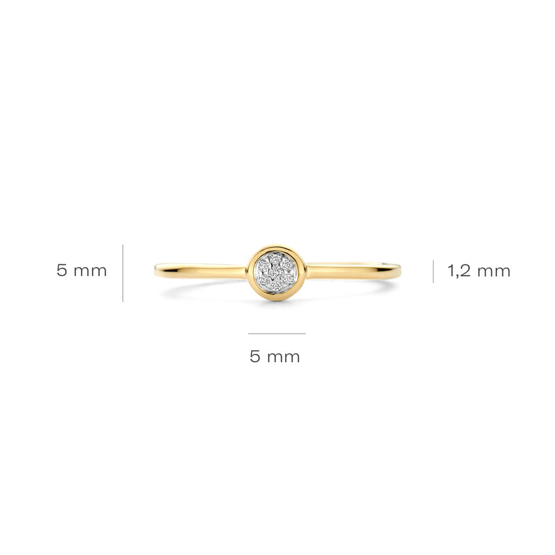 Blush Natural Diamonds 14 karat gold Ring 1679BDI/54-zoom-
