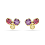 Swarovski Imber Organic Gold-Tone Multicolour Stud Earrings 5760019