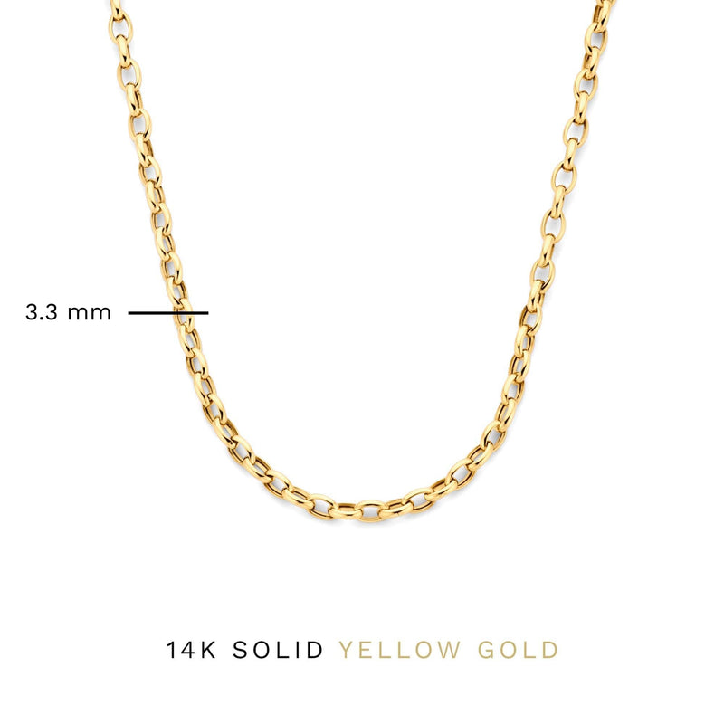 Isabel Bernard Aidee Camille 14 Carat Golden Schakel Necklace IB340159-zoom-