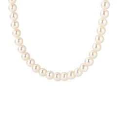 Blush 14 karat gold Necklace 3184YPW